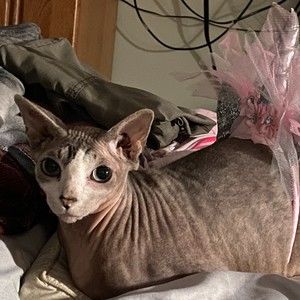 Meet your Posher, Nathalie